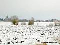 DSCN3413rw