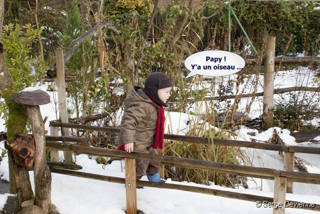 atitrDSC03657tt.jpg - Beaucoup de neige en Décembre 2010 - Antoine est fasciné ...
