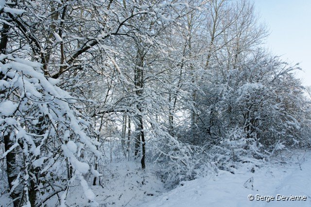 d105np_DSC06887_DxO.jpg - Le long du Centre Sita ...