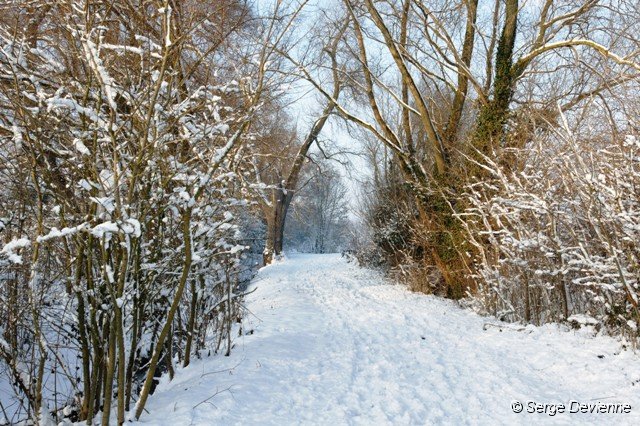 d105np_DSC06901_DxO.jpg - Chemin des Loups...
