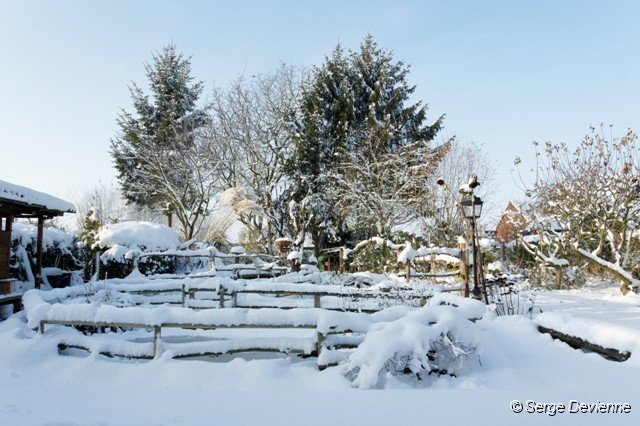d107nj_DSC06804_DxO.jpg - le jardin ...