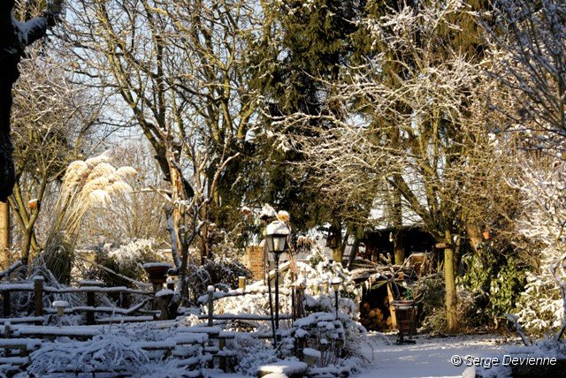 d110nj_DSC03565_DxO.jpg - le jardin ...
