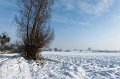 d105np_DSC06844_DxO