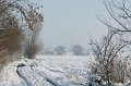 d105np_DSC06853_DxO