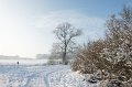 d105np_DSC06860_DxO