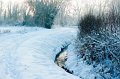 d105np_DSC06874