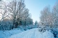 d105np_DSC06880