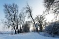 d105np_DSC06899_DxO