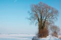 d105np_DSC06913