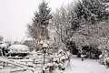 d108nj_DSC03628rt