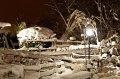 d109nj_DSC06713_DxO_raw