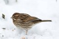 d150obr_DSC07165_1rd