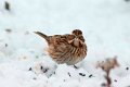 d150obr_DSC07180r_DxO