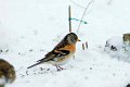 d150opn_DSC07088r_DxO