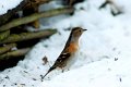 d150opn_DSC07108r_DxO