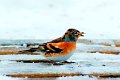 d150opn_DSC07261r_DxO