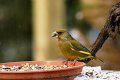 d152ove_DSC01613r_DxO
