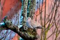 d160DSC01363r_DxO