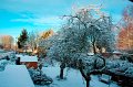 d199nj_DSC06546r