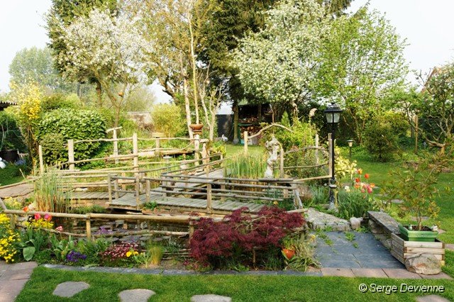d203ja_DSC01186_DxO.jpg - Printemps dans le jardin.