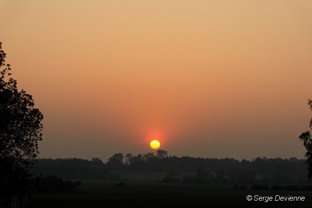 d299cs_DSC01467_DxO.jpg - Soleil couchant...