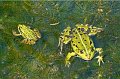 d215DSC01864_DxOt
