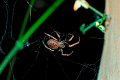d220DSC00280r_DxO