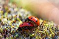 d225DSC09718_DxOdn