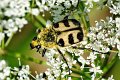 d234DSC02358_DxOrva