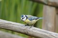 d251omb_DSC02354_DxO