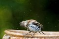 d252omd_DSC04200_DxO