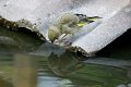 d252ove_DSC02511_DxO