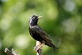 d254oet_DSC01829r_DxO