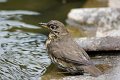 d254ogm_DSC01748r_DxO