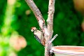 d260DSC04782r_DxO