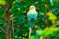 d265ope_DSC03478dt_DxO