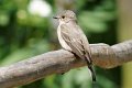 d275ogm_DSC02197r_DxO