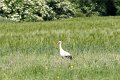 d280DSC02941_DxOro_raw