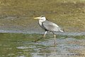 M1206_007DSC00749_GF