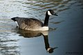 M1206_009DSC00833_GF