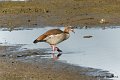 M1206_015DSC00780_GF