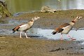 M1206_015DSC00786_GF