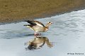 M1206_015DSC00789_GF