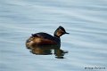 M1206_040DSC00114_GF
