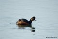 M1206_040DSC00129_GF