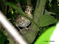 14-04DSCNgm7649