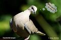 46DSC05562txp