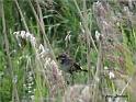 DSC00149pddw