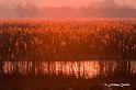 uitpo9004NatureBlankenberge049rd