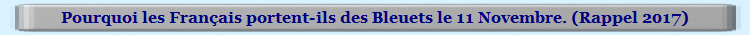 Pourquoi les Français portent-ils des Bleuets le 11 novembre.